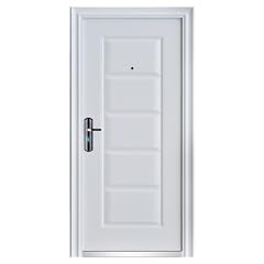 Haust�r T�r Wohnungst�r 96 x 205 cm