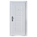 Haust�r T�r Wohnungst�r 96 x 205 cm