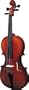 Strunal 220 FH Student Violin Outfit (4/4)