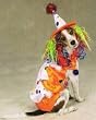 Dog Costume - Class Clown Dog Halloween Costume - X-Small (XS)