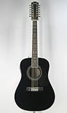 Fender Acoustics CD-160SE-12 BLK