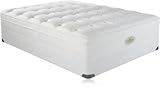 King Simmons Natural Care Mt Darwin Drop Top Pillow Top Mattress King Simmons Natural Care Mt Darwin Drop Top Pillow Top Mattress