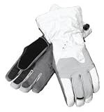 Spyder Men's Poacher Gore-Tex Glove