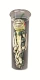 Tet Tube Aliens Electronic Evil Alien UrgIMAGE