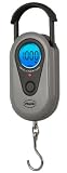 American Weigh Scale Sr-1kg Gray Digital Hanging Scale, Gray, 1000g X 1 G