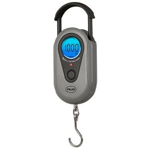 digital hanging scale