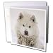 Kike Calvo Animals - Canadian Eskimo Dog Hudson Bay Churchill Northern Canada - Greeting Cards-6 Greeting Cards with envelopes