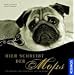 Hier schreibt der Mops