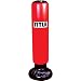 TITLE Inflatable Punching Bag