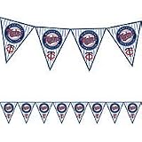 Minnesota Twins Pennant Banner