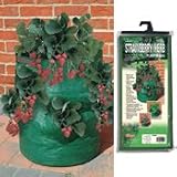 Bosmere Strawberry / Herb Patio Planter