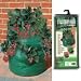 Bosmere Strawberry / Herb Patio Planter