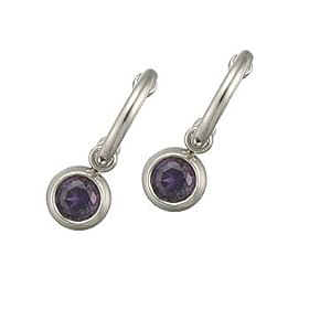 Titanium Dangle Earrings with Purple Amethysts