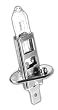 Grote Replacement 12 Volt Halogen Bulbs 55 Watt, High Output 90620