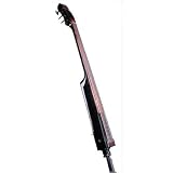 Dean Pace 5 5 String Electric Upright Bass (Black)