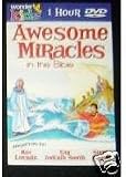 Wonder Kids Awesome Miracles in the Bible