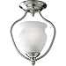 Progress Lighting P3833-09 Richmond Hill One Light Convertible Pendant in Brushed Nickel