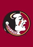 Florida State Seminoles Mini Garden Window Flag (15x10.5) NCAA College Athletics Fan Shop Sports Team Merchandise