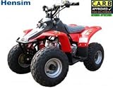 50cc Hensim Kid Atv Four Wheeler