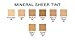 Mineral Sheer Tint Foundation Spf 20, New Makeup Tinted Moisturizer