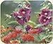 Fiddlers Elbow Humming Bird with Flowers