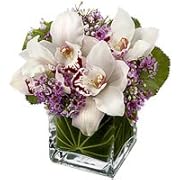 Floral Flowers - Magnum Opus Floral Flowers - Magnum Opus