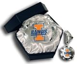 University of Illinois Fighting Illini Paperweight