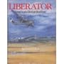Liberator Americas Global Bomber