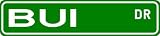 BUI Street Sign ~ Family Lastname Sign ~ Gameroom, Basement, Garage Sign