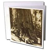 Scenes from the Past Magic Lantern Slides - Wawaon Tree at Maraposa Grove Yosemite National Park Sepia - Greeting Cards-6 Greeting Cards with envelopes