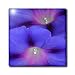 Indigo -Blue - bindweed, ipomoea, morning glory, purple, realism, wormweed, september birth flower - 12 Inch Glass Tile