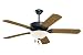 Emerson Fans CF652BQ 52" Summer Night Energy Star Outdoor Barbeque Black Ceiling Fan (Light Kit NOT Included)