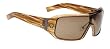 Spy Optic Haymaker Shiny Brown Stripe Tortoise/Bronze Sunglasses