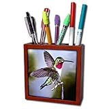 Birds - Hummingbird, Bird - Tile Pen Holders-5 inch tile pen holder
