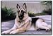 Fiddler's Elbow German Shepherd Porch Doormat