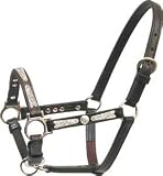 Abetta Silver Show Halter