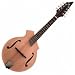 BreedloveQuartz KF Mandolin, Made in U.S.A.