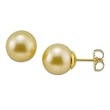 South Sea Golden Pearl Earrings in 14K Yellow Gold