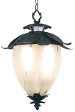 Azalea Large Hanging Lantern, ART GLASS SHADE, OXIDIZED BRONZE -...