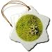 Stonecrop (Sedum album) growing on a moss-covered stone - 3 Inch Snowflake Porcelain Ornament