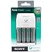 Sony Cycle Energy Power Charger with 4 2500 mAh AA Batteries