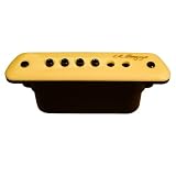 Acoustic Guitar Parts