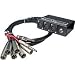 Hosa Little Bro Snake (XLR x 6 to 1/4 Inch x 2) (SH6250, 50 Foot)