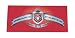 Smart Parts Trade Mark Sticker - Red