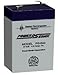 SEALED RECHARGEABLE BATTERY POWERSONIC PS-640 6 V