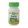 Kudzu Root Extract - 50 - Capsule