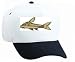 White Cap with algatare, "algae eater", fish, aquarium, animal