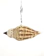 Ornament: Bird