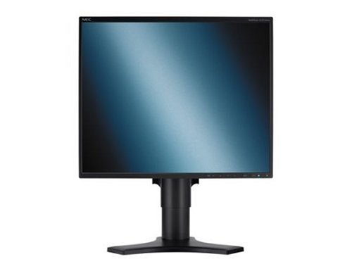 NEC MultiSync LCD1990FXp - Flat panel display - TFT - 19 - 1280 x 1024 - 250 cd/m2 - 1500:1 - 20 ms - 0.294 mm - DVI-D, VGA - black