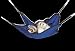 Super Pet Ferret Simple Sleeper, Hammock, Colors V